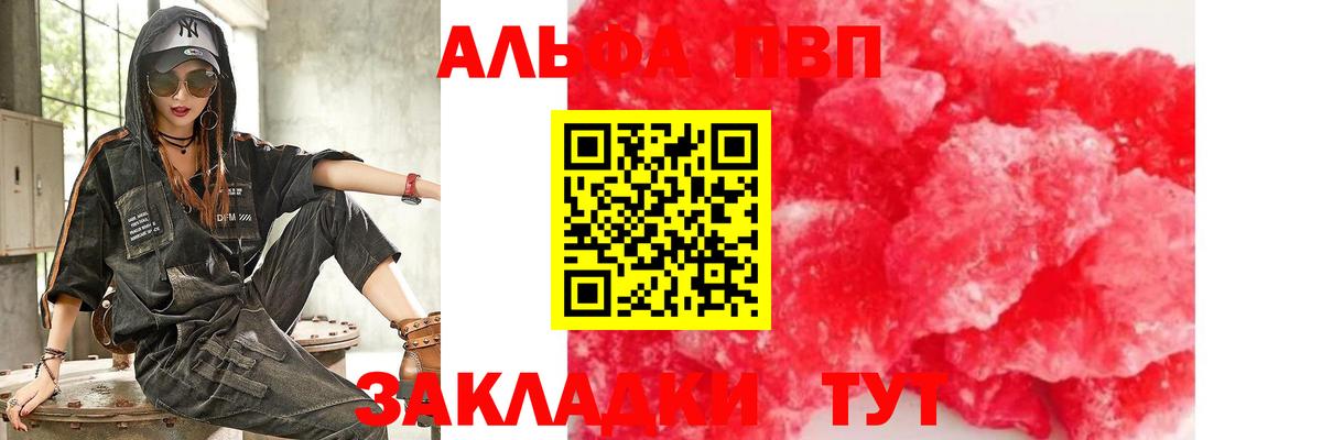A PVP СК КРИС Оренбург