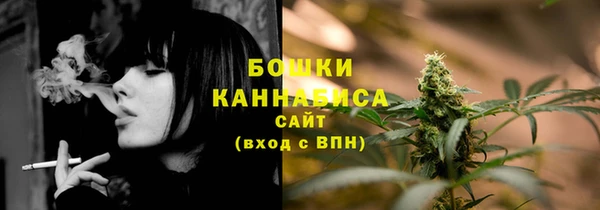 Альфа ПВП Костерёво