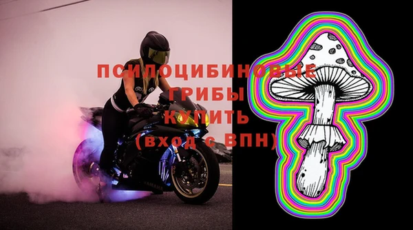 мет Корсаков