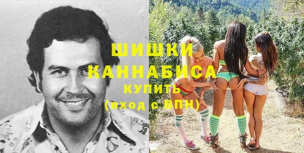 Альфа ПВП Костерёво