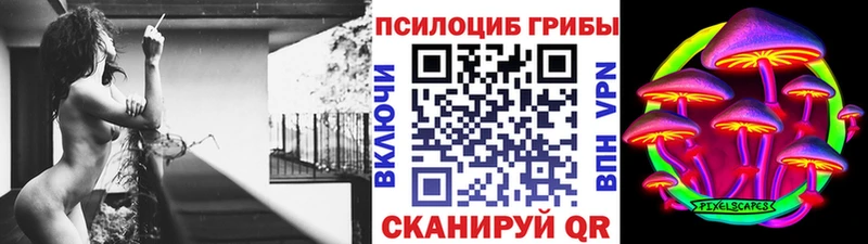 блэк спрут рабочий сайт  Оренбург  Галлюциногенные грибы прущие грибы 