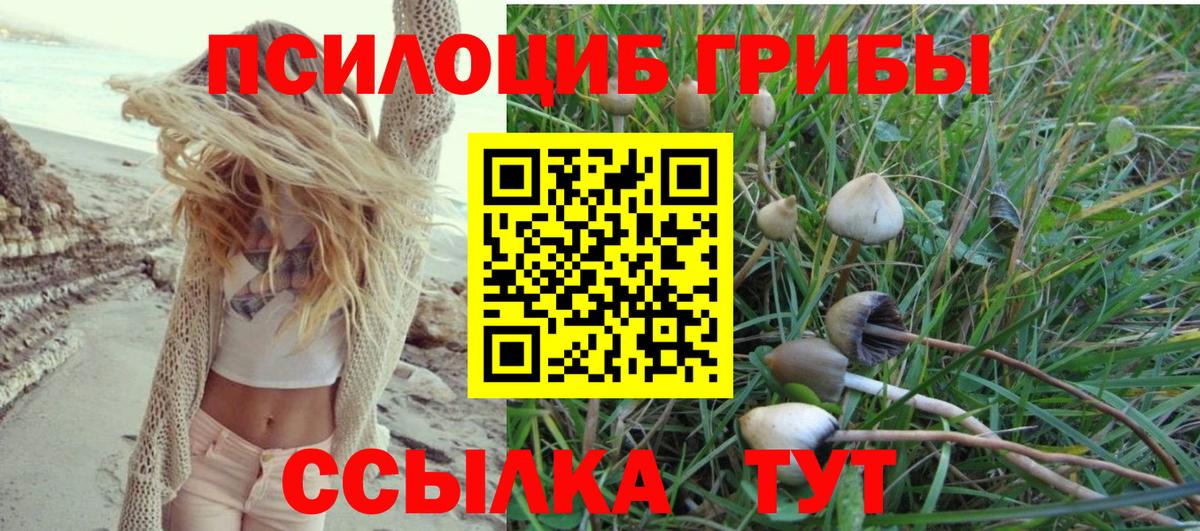 Галлюциногенные грибы Psilocybe Оренбург
