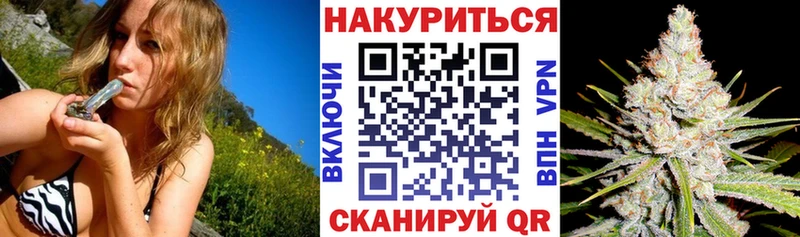 Бошки Шишки планчик  Оренбург 